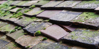 Coton roof repair costs